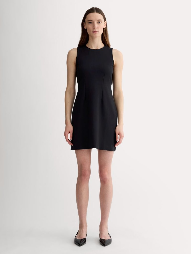 Everlane The Dream 90s Shift Dress In Black (M)